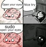 sudo.brain.jpg