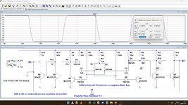 250606Waschbaerscheuche13kHz.jpg
